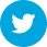 Twitter icon